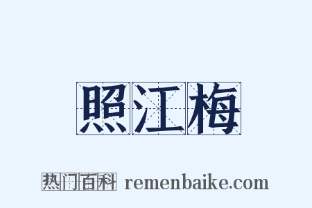 照江梅是什么意思的图片